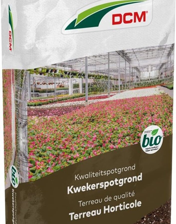 Kwekerspotgrond | DCM